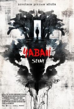 Stray