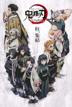 Demon Slayer: Kimetsu no Yaiba – The Hashira Meeting Arc