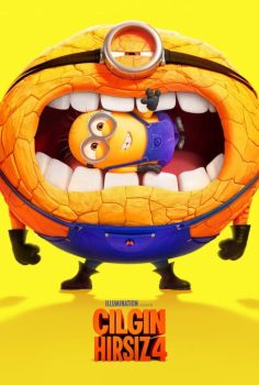 Çılgın Hırsız 4 izle