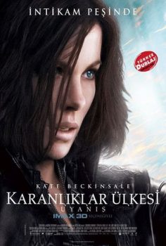 Karanlıklar Ülkesi 4: Uyanış